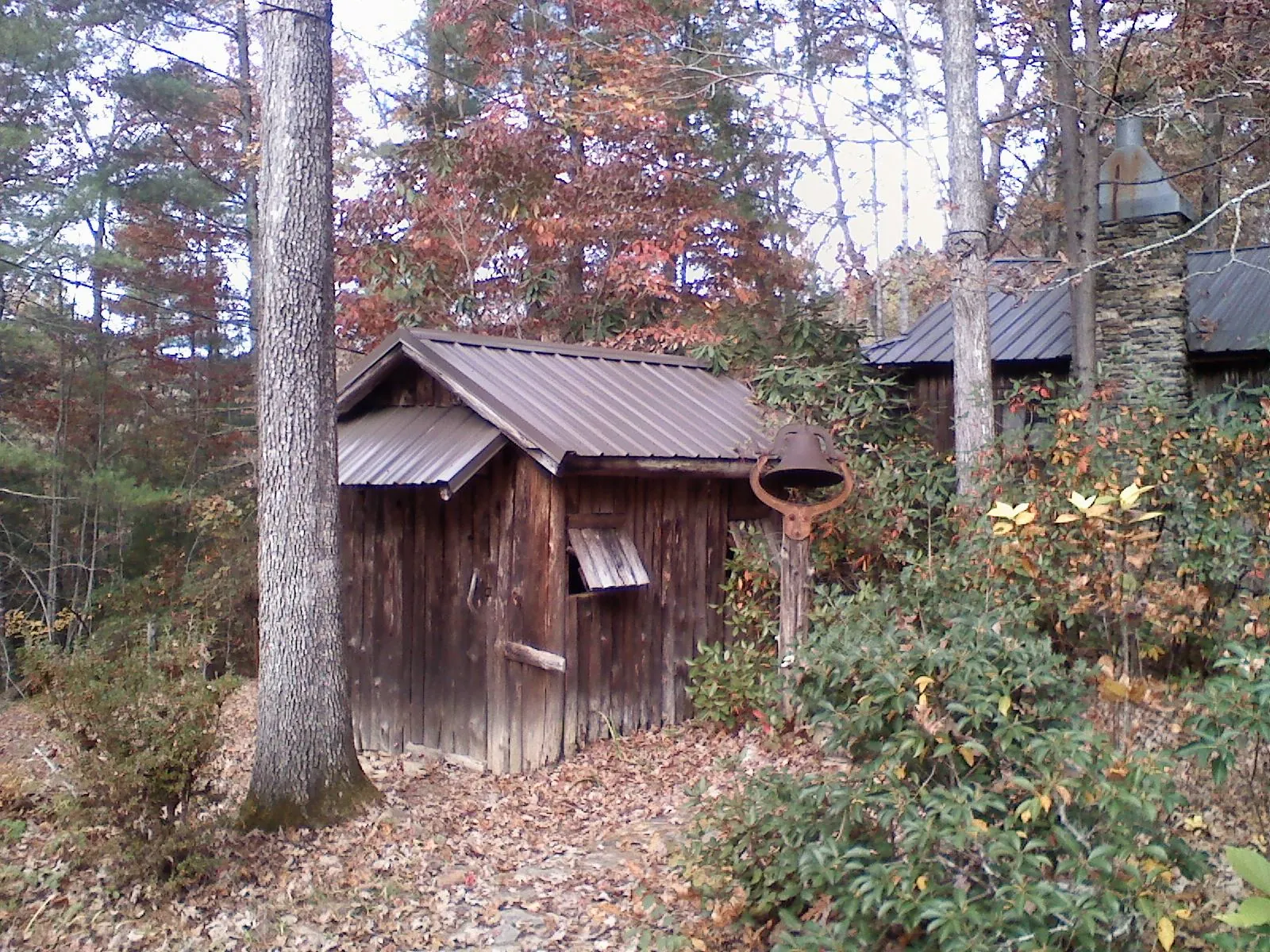 Small metal roof on a rough sawn shed in the woods in Bassfield