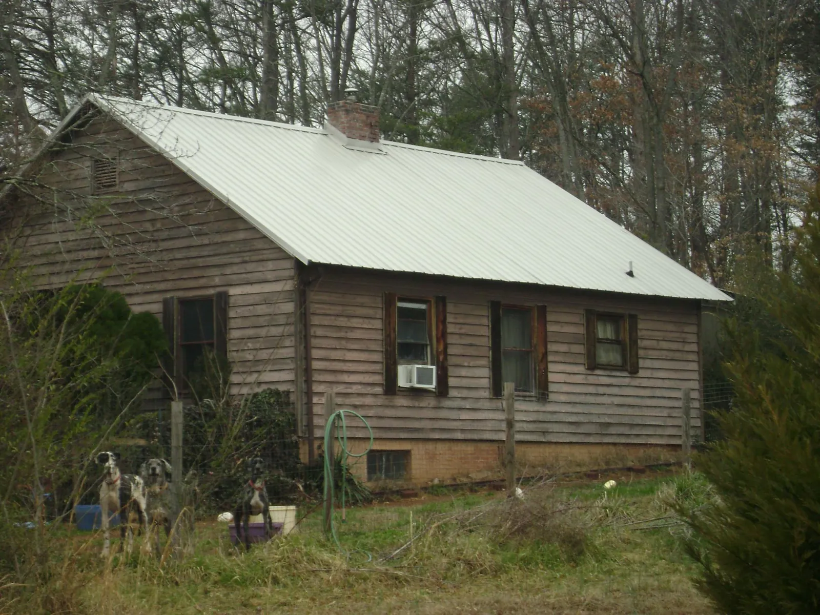 White metal roof on an old wood sided farmhouse, from a Asphalt Shingle Roof Repair job in Bassfield